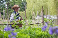 Woman walking through vegetable patch with basket of harvested vegetables and hoe over shoulder