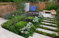 Formal town garden with steps interplanted with perennials, box cubes. Designer: Charlotte Rowe, London