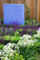 Formal town garden with Agapanthus 'Enigma', Salvia 'Mainacht, purpurescens. Designer: Charlotte Rowe, London