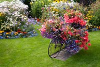 Decorative bicycle holding pots with Begonia and Lobelia on lawn and colourful mixed bed filled with perennials and tender bedding plants. Manvers Street, Derbyshire NGS August