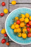 Bowl of Lycopersicon lycopersicum 'Jelly Bean Red and Yellow' - tomatoes on wooden table