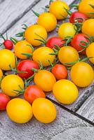 Lycopersicon lycopersicum 'Jelly Bean Red and Yellow' - tomatoes on wooden table