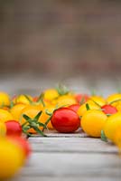 Lycopersicon lycopersicum 'Jelly Bean Red and Yellow' -  tomatoes on wooden table