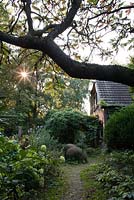 House with shady area. Buitenhof, Netherlands
