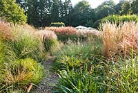 Path through grass borders in October. Miscanthus sinensis, Calamagrostis x acutiflora 'Karl Foerster', Molinia. Buitenhof garden