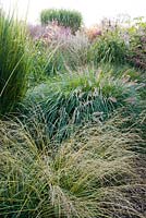 Grass border in October: Penisetum Hameln, Molinia, Miscanhus sinensis. Buitenhof