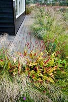 Porch with surrounded planting includes  Persisaria amplexicaule Firetail, Eragrostis curvula. Madelien van Hasselt.