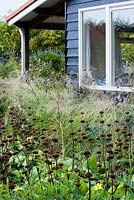 Relaxing area on a porch surrounded with autumn border. Eragrostis curvula, Helleborus foetidus Wester Flisk, Impatiens glandulifera, Verbena bonariense, Deschampsia cespitosa. Madelien van Hasselt