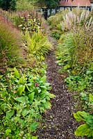 Path through autumn borders leading to the house. Phlomis russeliana, Panicum virgatum 'Shenandoah', Eryngium agavifolium, Miscanthus.  Madelien van Hasselt.