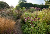 Late summer border. Echinacea purpurea, Deschampsia cespitosa, Sanguisorba 'Bury Court'. Piet Oudolf garden Hummelo.