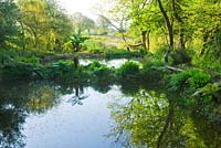 Ponds, Tremenheere Sculpture gardens, Cornwall. Summer. 