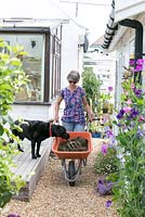 Gerry and her dog, wheelbarrow of collected seaweed