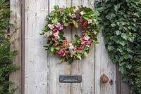 An autumnal wreath on a wooden gate. Featuring Oak - quercus robur, spindle - euonymus and hydrangea flowers