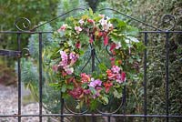 An autumnal wreath on an iron gate. Featuring Oak - Quercus robur, Spindle - Euonymus and Hydrangea flowers
