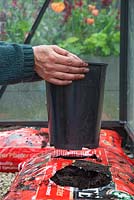 Insert a deep plastic pot into the pre-cut holes of the Tomato grow bags