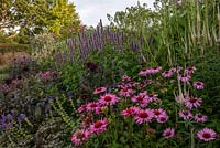 late summer herbaceous border 