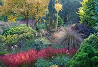 Colourful mixed planting with Imperata cylindrica Rubra in border at Foggy Bottom garden, Bressingham Gardens in Autumn.