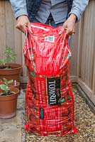 Vigorously shaking a tomato grow bag to loosen the compost