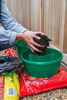 Fill the centre of the plant halos with compost