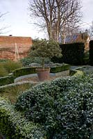 Frosty winter garden in February, simple box hedged parterre of grasses and shrubs for foliage interest. 