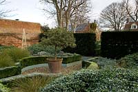 Frosty winter garden in February with simple box hedged parterre of shrubs and grasses for foliage interest.  