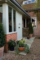 Winter garden collection of containers by back door with Narcissus - daffodils, hedera - ivy, Viburnum tinus, Helleborus - hellebore