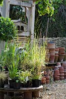 Various plants for sale next to old terracotta pots - The Walled Garden at Mells, Somerset
