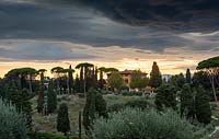 Sunset over the olive groves and view to other villas on the estate. La Pietra, Florence, Italy.