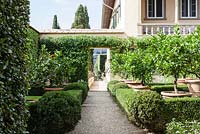 The Winter Garden. Citus in Terracotta pots. Hedges of box. View to side of house with view to city. Le Balze, Florence, Tuscany, Italy. September. 