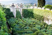 The Secret Garden. Hedges of box with planting of Dahlias. Villa Capponi, Florence, Tuscany, Italy. September. Started at the end of the C16th for Ginodi Capponi. Purchased by 1882 to Lady Elizabeth Scott, grandmother to the late Queen Mother 