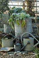 Frosty winter scene of a collection of galvanised metal watering cans and pots on gravel 