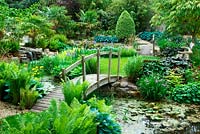 Wooden bridge over water with marginal planting for damp conditions and bench with a small lawn.  Ferns, irises, ligularia, chusan palm. sloping garden with water course. 
