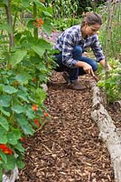 A woman carrying out some weeding in a bed beside a path of bark chippings mulch