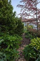 Bark path edged by Hostas, Buxus sempervirens and Fagus sylvatica 'Purpurea Tricolor' leading though house - May, Scalabrin Laube Garten, Switzerland