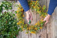 Use some green crafting wire to secure the pyracantha branches to the wreath