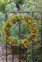 An autumnal wreath featuring pyracantha, ivy seed heads and hawthorn