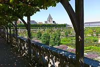Overlooking the potager garden from a vine shaded terrace at Chateau de Villandry, Loire Valley, France