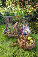 Wicker baskets containing foraged Blackberries, Hawthorn and Horse Chestnuts.