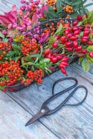 A wire basket containing foraged berries. Rose hips, Spindle, Pyracantha and Sorbus