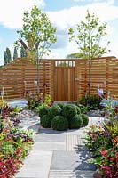 Paved area with Liriodendron tulipifera behind clipped Buxus sempervirens, leading to a wooden gate - The Atomic Journey, The Chris Beardshaw Mentoring Scholarship - Malvern Spring Gardening Show 2011