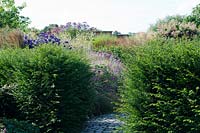 Yew hedges with cobblestone path leading to perennial border including Aconitum, Geranium and Persicaria