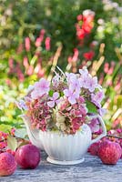 Floral display of hydrangea flower heads in a teapot, with windfall apples