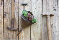 Succulents planted in a vintage oil funnel hanging on a fence