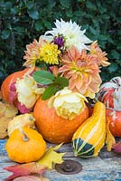 A pumpkin used as a vase for holding dahlias and roses