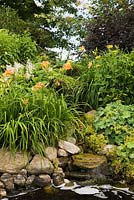 Rock edged pond bordered by orange Hemerocallis - Daylily flowers, yellow Alchemillia mollis - Lady's Mantle, Hosta plants in backyard garden in summer