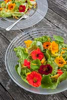 Salad with edible flowers in glass bowl - nasturiums and marigold petals