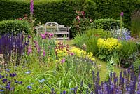Double herbaceous borders leading to seating - including papaver, salvia, achemilla mollis and digitalis