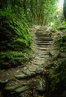 Stone steps with moss covered banks