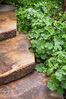 Breast Cancer Haven Garden. A pathway made from Oak slabs with planting of Alchemilla mollis and Galium odoratum. Designer: Sarah Eberle supported by Tom Hare. Sponsor: Nelsons