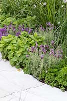 The Evaders Garden. Herb filled border containing Lavandula stoechas, Lemon balm and Parsley. Designer - John Everiss. Sponsor - Chorley Council